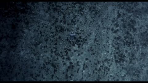 OCEAN_GRAVITY_-_Guillaume_N?ry___Julie_Gautier