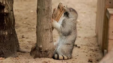 Ева_с_семейством