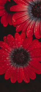 kYM1vUww4T6iGkGkMtm5e92oW9ILj4lawOVV3ZYDfjvzORAtfxw0rLhS6idj5uBj4tVvesiv5re652lJBvRL59j9