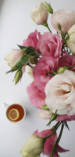 fv_xjdnAtzRisYVcoBHlefbjkZ523hjEsQYyBcXX08g9yL2eZpdGkz9yJt6_dNVRw2pD_OdLnvb1udA9joy9owCs