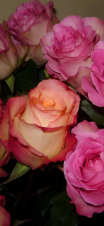 ZZFkZqgH3x096jwMaBaJBCD4V8yyDp6VsTakkAVLKuV9x42Oem4uCQrdV7aDr_2W1T4wh5g491EfVHcPNkBmDWZl