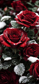 WgnAoIirJKKiupAKTTJLcehVWEVcYmCleYyCzt7y7QsOqdON0Ryt04doRYhXx0kmbIRYlkYYnBqJ5PbtIFEGAoR9