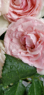 UfQdiAqmjg1BpCp-aWbGa_DbovMvqZuF_hs03KlV0P6uU5SeuT5ED_T3-Y24nbJsQpOjrDT7jPntaYKZYuSw8fN7