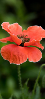 rK8XrKfQ5Cbj6xIrjWYNurfeZlzpZuVEqAavfGPWgUr58xtrwycbPIG3Oyfp-TjvjyA8iH0Mu0HisY_H_96-pqgv