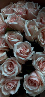 1v2Vyz52aZ4BhwPvo9TdPR53BUfSOMP6CiApL7ONuqDXebwBkWvAS7-1B6587BhLGhouYkQfoeLJYviFcf4GzO