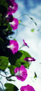 Tq-iaD4gdkhxCwBq-ZxAbN9LKq2FRjtlcyLqba6vVZdfpbrSOmsOtGP4jkSYVbD1CHICOCIxVYGILH2RDK9SeKV5