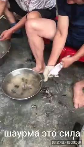 shaurma_1500113