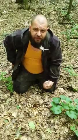 Что_еще_можно_есть_в_лесу_если_выживаешь