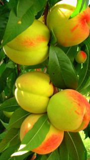 hRlxu5IO3fZ9ItOGwVoh8j1lof-ZtbIuqeJJb0T1w_k7Fi7vhFfBfxyl9m8NVj72rOMTQS83PlJKGl_TaMwATFN_