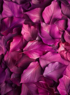 fF6GPSbTrVZvS8g91FKT3NyBE5-Ht3jgiJIDMW78N2CPTLxePytgZLtudhz7pYOWUU58Lj_6ePGgEa4mI9rpsF-0