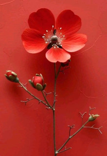 6k_ft-qIU6a0xx9bMKYElnVi31tGU3M28FS7392wBZfmzAB9Oza0yq2Stw3AS7hA8k01aIopIlDUUWvRRZOifFLO