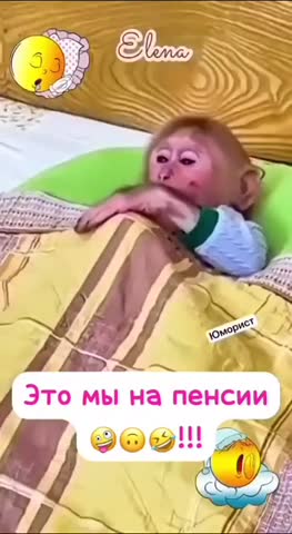 мы_на_пенсии