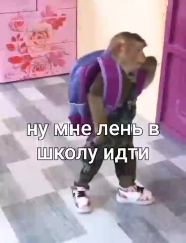 не_пойду_в_школу