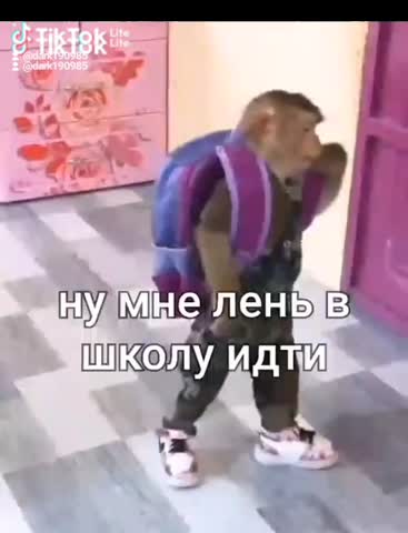 5b8c735d-d698-481c-9bad-63d28872f0ce-watermark
