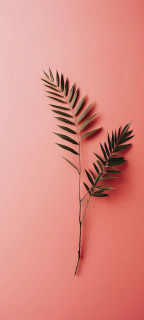 SE-E28BfgpCIhMOT5H43mWcCsyhcVe2HC70CE1Jx3nW3hbgB24OrN-Il91dq9PA3KV46vBX1DYn571u1EAlThcn2