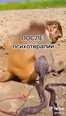 до_и_после