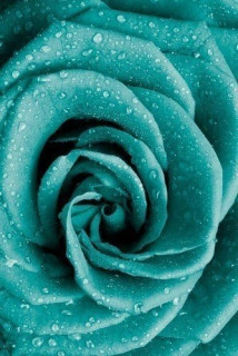 Y6SgyPR4jzXsodK02nFe5xeDb04IHIubb7046j0QqwlKzHUQySxBso6dgpUxtrbVCHzfpIFeS-osZHywnyEcNlKI