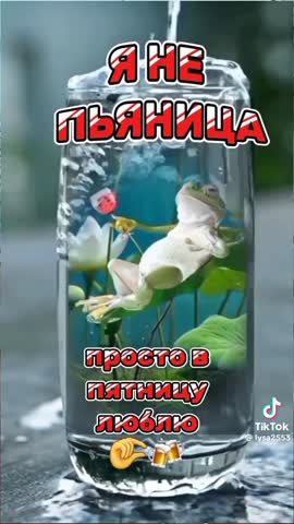 98ccf0b35466fcfb883db829744328ba