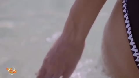 Foiz_PRO_ЮТА_-_Это_Все_Для_Нас
