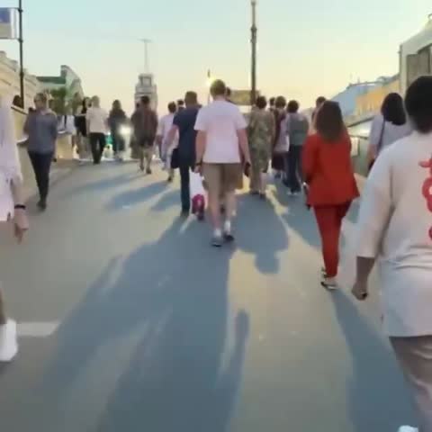 3543677