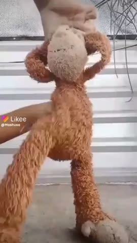 VID_20241012_171106_037