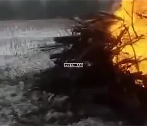 мой_грузчик