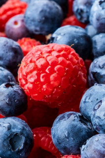 PFOLaHmBplTGanq6gFjhturrCXx9ep9L8fk4YtoPqqHbiwKozeprTSw-rQokwt6EK7J7dJXGdRAWWpYIxIxbBRoF