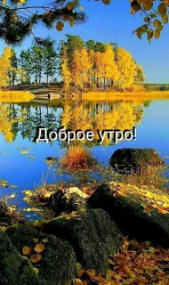 IMG_20241014_080557_039