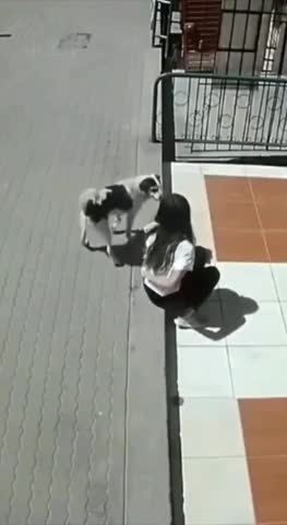 Хороший песик