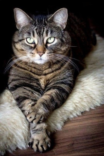 XGlOd4fB5QxpHSmN693l8fuVVe62jvljH2rt_AA67fCvx6EmU9kpMqaadH9nAjf_fBCIAIiZ11hWW2Q4qBmrxv67