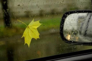 IMG_20241016_082946_943