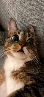 UFDquXZjmQd_IO_BrmkyptFifeRrLpXKnj6HHyJUPkQ26u8M5e9gglqsYkY-qGHcE56tI_0-Lw1_Y1ekazYXZiLB