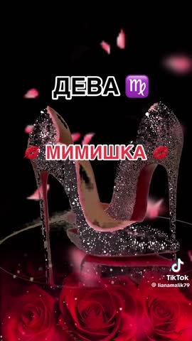 2051fc5ad2eaa231e50ee94d6757d5e9