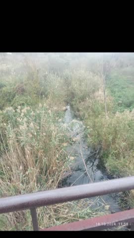 2024-10-18-130316489