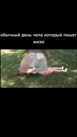 VID_20241018_160329_546