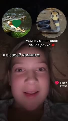 VID_20241020_185904_382