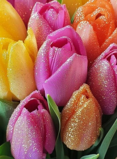 yYfMUuMlHd08i1VlbvKYEqbqGZ_5eIMJnDUUqFDmv0oUKQG2IPd1aMCNtAXMxZnmZfLi1n1lqOieLsam92v8lmCx