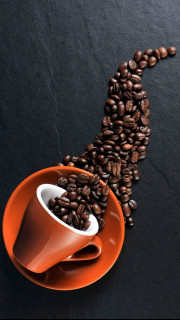 FCL03-ZmFs6Do5RdnDU9LS65XnEF6cnkc_Y5OhSyFmw-3sL27imy8vAKn24bREtyOZ11oMk47hYuS69xwcAtTFk2