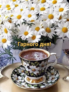 Foiz_PRO_FB_IMG_1729827599888