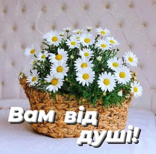 FB_IMG_17298680704910278