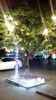 IMG-20240611-WA0004