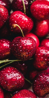 td9fMU0oU84M0AOKgafvGsL_HMat7QTA3HXxrYsFWEzE8gmkNNGsLjtibCkj-Vm2Y8-R9snQuHHa-YAz6fC-5bmH