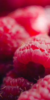 ojNqFLYHI4kEjNu2qXXQ84O7nFOTVkFEc8_U4QJGcbHSDo9R9P_CNgIzw_hAfB06xvkfJ1HkTfdkqPy33JWsL6g6