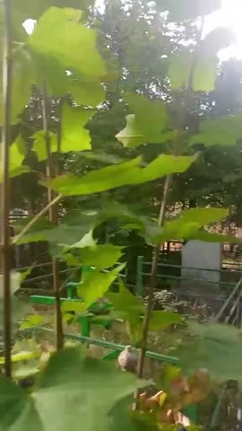 87b52c093fc52e9859974d0bd3bea7ea