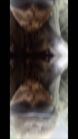 2024-10-26-114925499