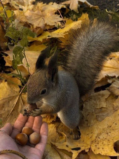 IMG_20241025_153531_803