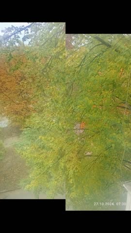 081766811c101cda58a81a7f3deccd75