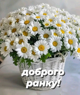 FB_IMG_17301810802872242