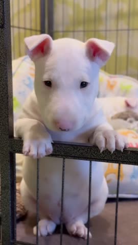 VID_20241029_184951_220