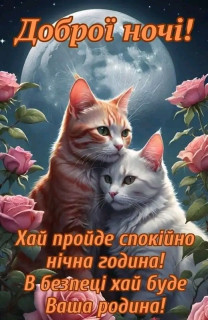 FB_IMG_17303211942004909